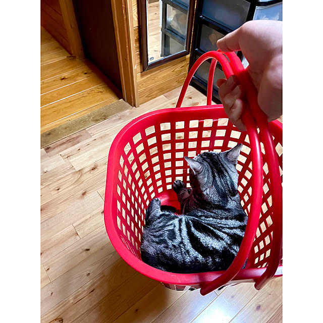 yumiさんの実例写真