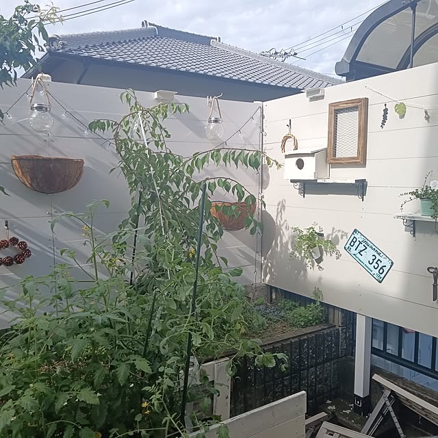 junkoさんの実例写真