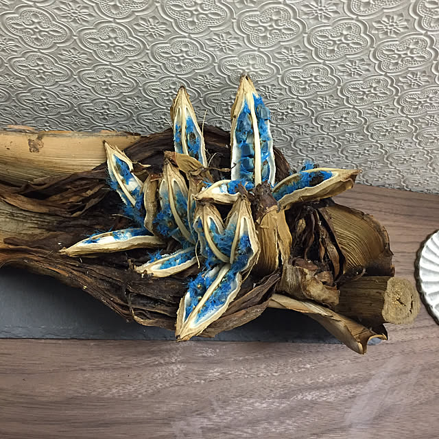 ikukoさんの実例写真