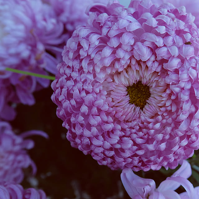 nhungk6aさんの実例写真