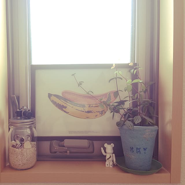 naoさんの実例写真