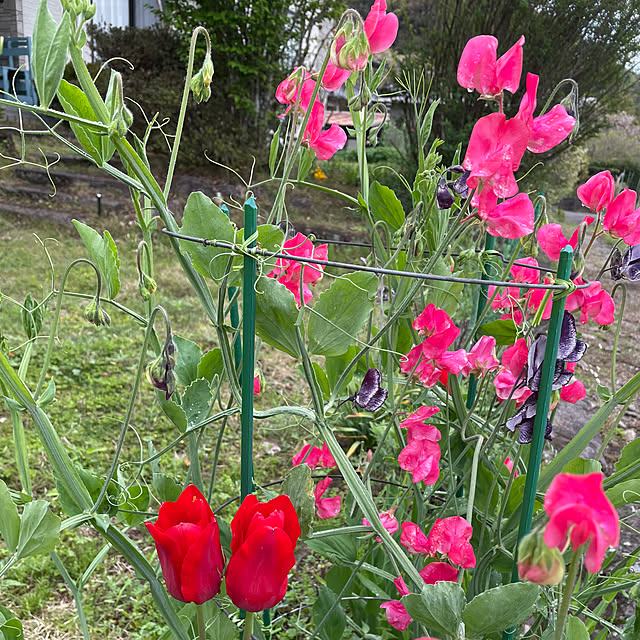 natsumiさんの部屋