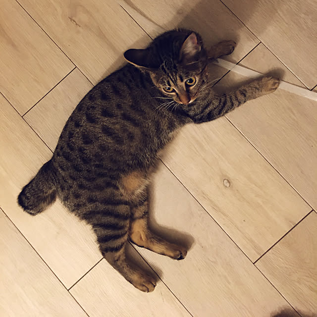 Mさんの実例写真