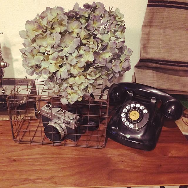 akoさんの実例写真