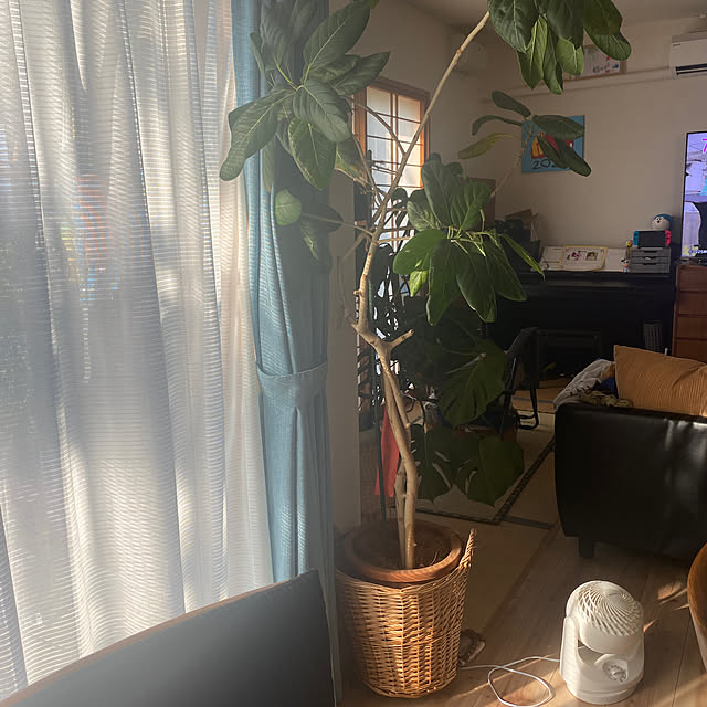 kotaroさんの部屋
