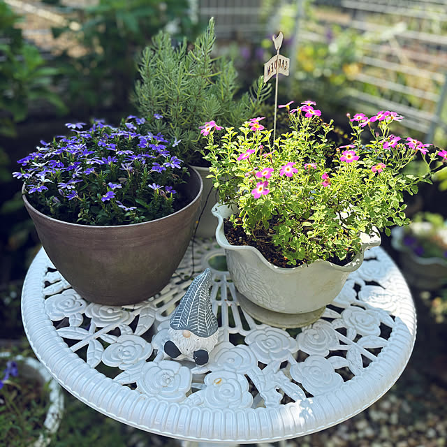 CoCo0617さんの部屋