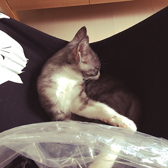 NEREさんの実例写真
