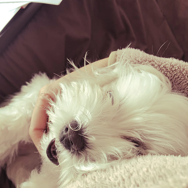 rirakoさんの実例写真