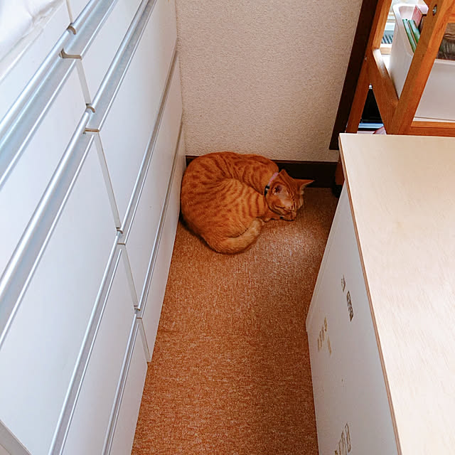 kikiさんの実例写真