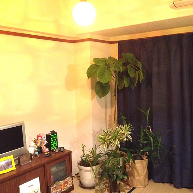 xxxmaikoxxx0709さんの実例写真
