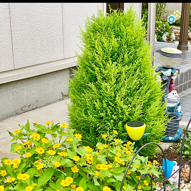 n_k6369さんの実例写真