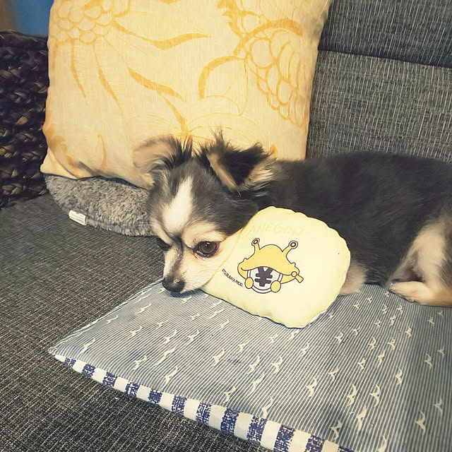 mizuさんの実例写真