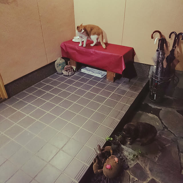 uchizukonyanさんの実例写真