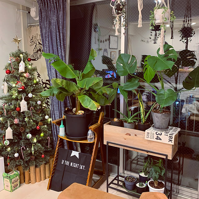 観葉植物/カフェ風/リフォーム/リノベーション/こどもと暮らす...などのインテリア実例 - 2021-12-04 00:01:41