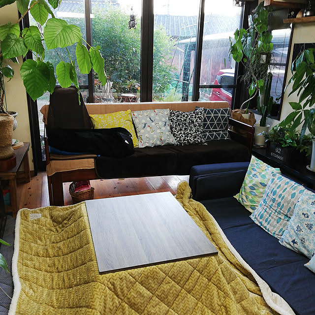 shusen.miyaさんの実例写真
