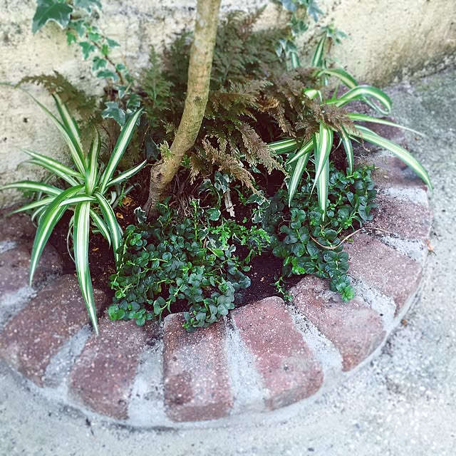 andFIELDS_homeさんの実例写真
