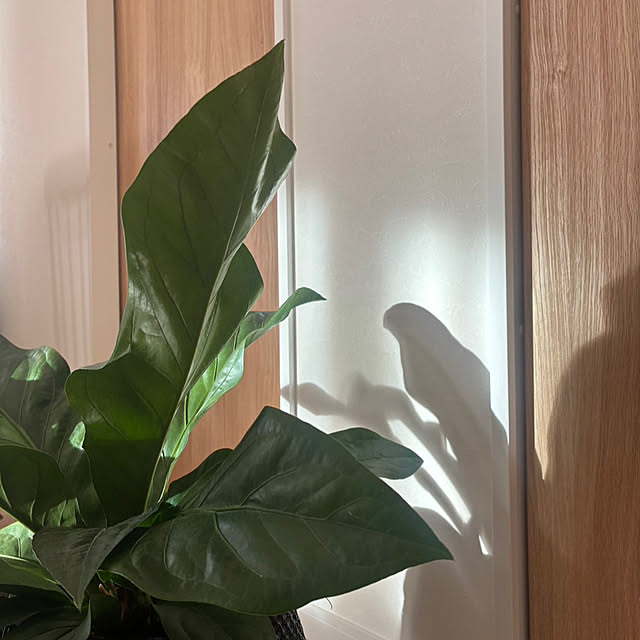 tomakiさんの部屋