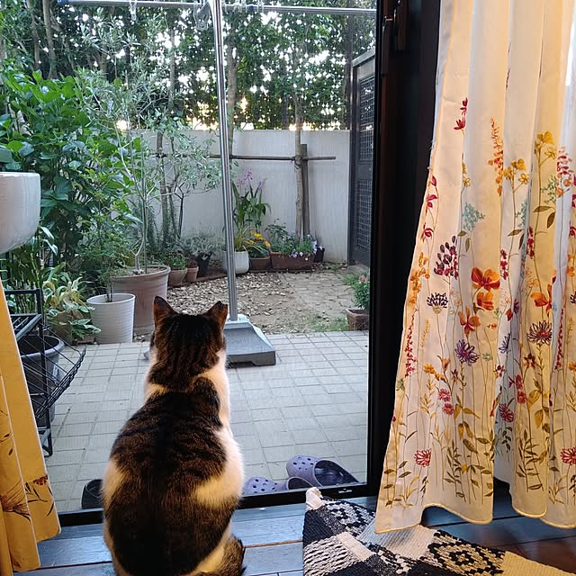 okyosan101さんの実例写真