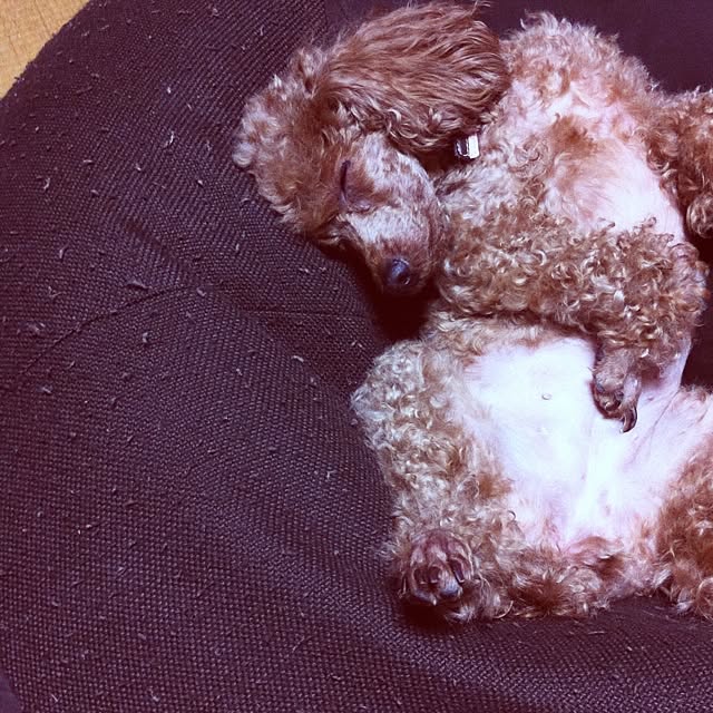 soraanさんの実例写真