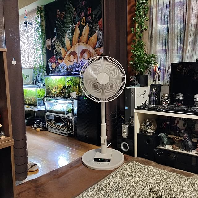 実例写真