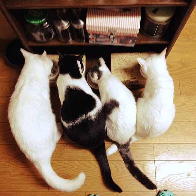 Miechamさんの実例写真