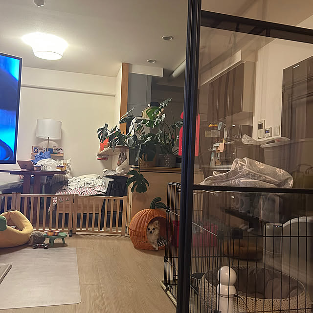 mahalo.n.nさんの実例写真