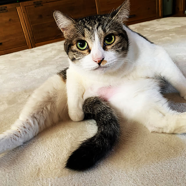 rioさんの実例写真