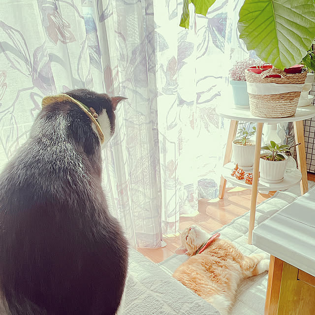 moolさんの部屋