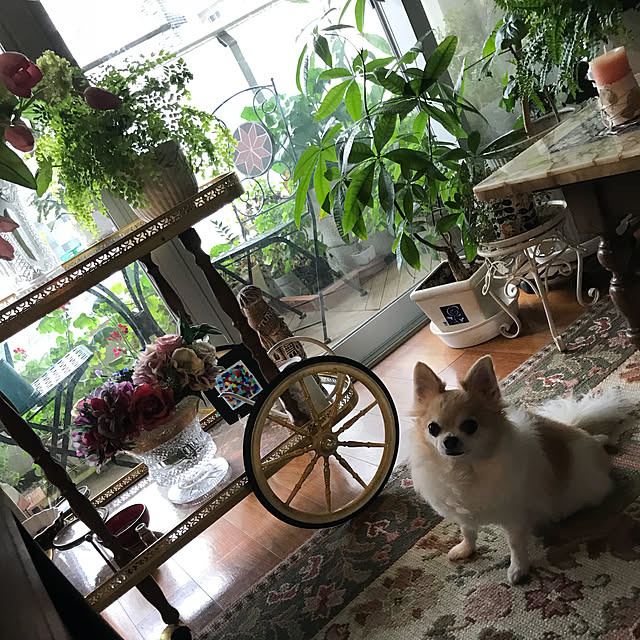 saraminさんの実例写真