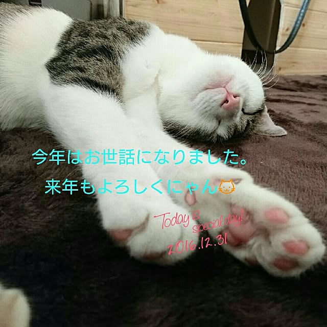 kiraさんの実例写真