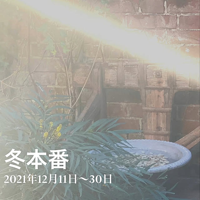 mさんの実例写真