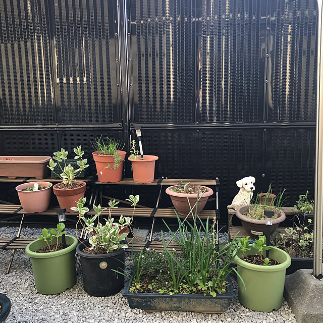 EMIKOさんの実例写真