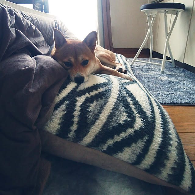 mameさんの実例写真