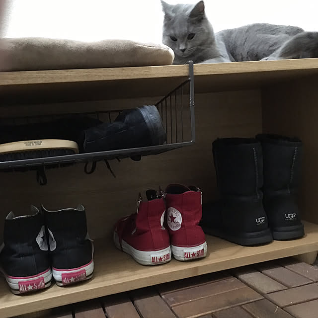 fionaさんの実例写真