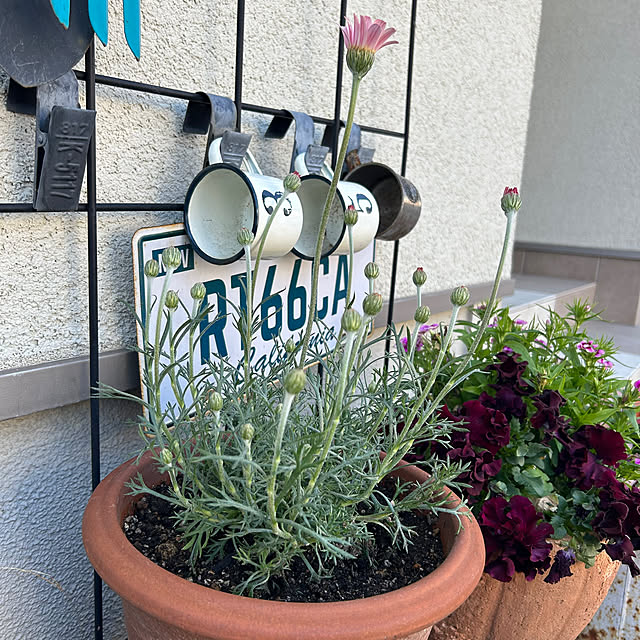 skhrさんの部屋