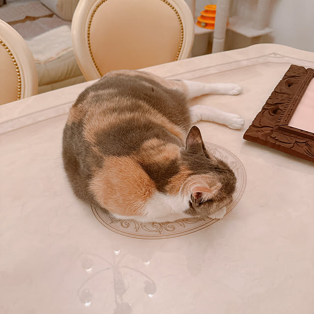 nene6さんの部屋