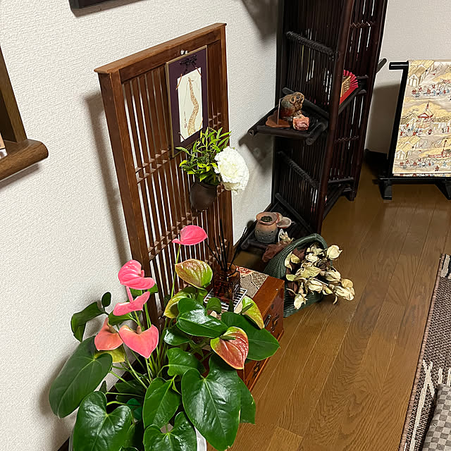 ritsukoさんの部屋
