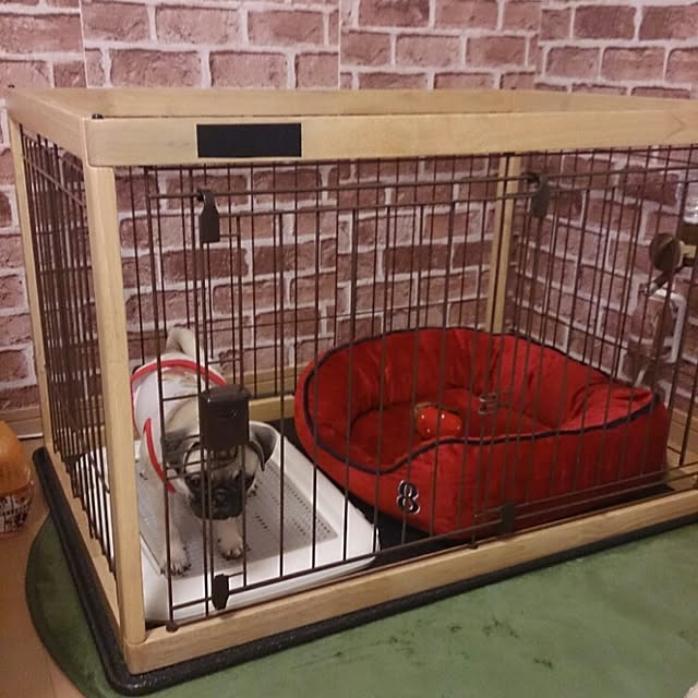 comiriさんの実例写真