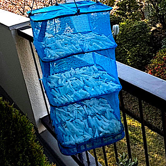 syutmmさんの実例写真