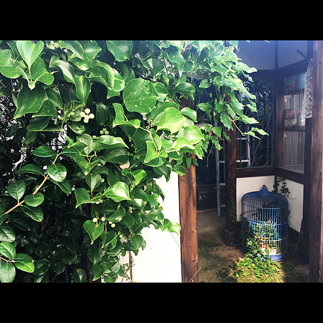 marusanさんの実例写真