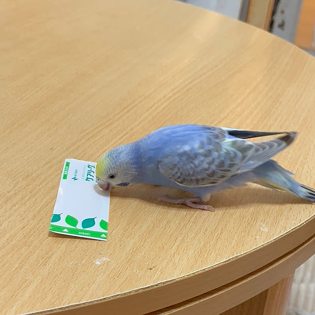 Atsukoさんの部屋