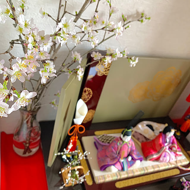 koko_hikaさんの部屋