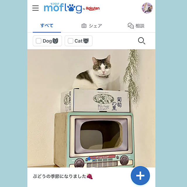 ayataroさんの部屋