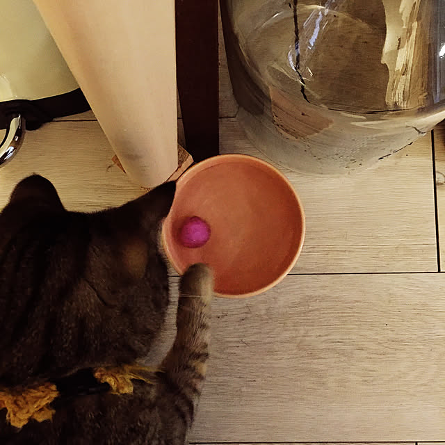 Mさんの実例写真