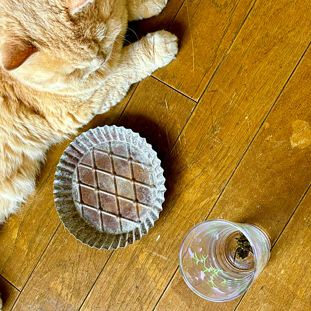 naokoさんの部屋