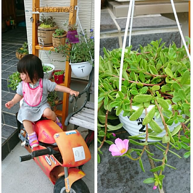 cocomilkさんの実例写真