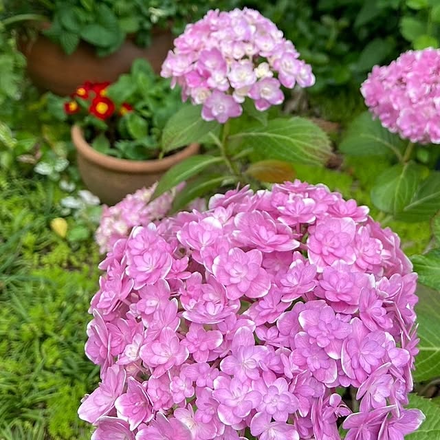 min_nimさんの実例写真