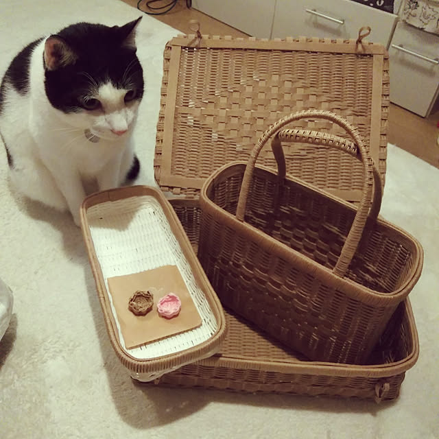 futukoさんの実例写真