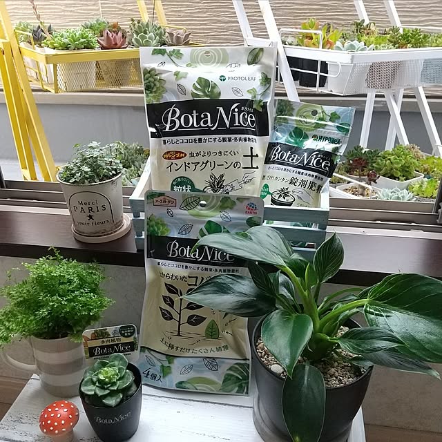 meiさんの実例写真