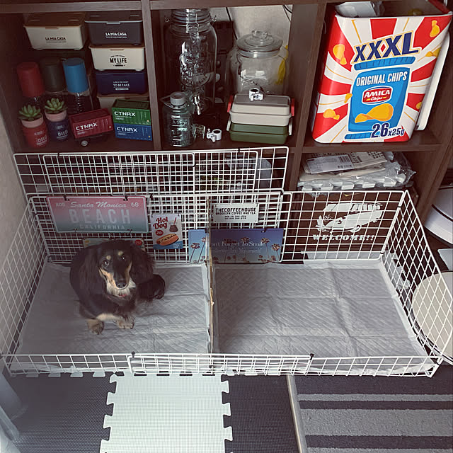akipuさんの実例写真